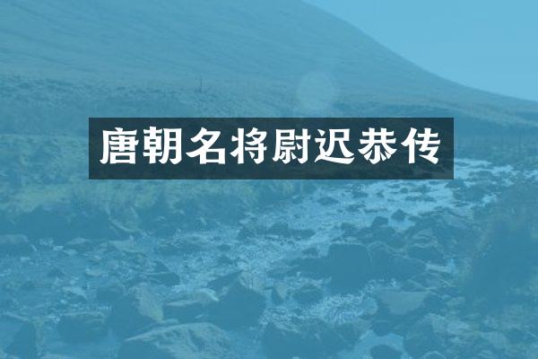 唐朝名将尉迟恭传