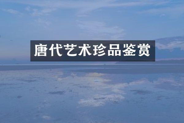 唐代艺术珍品鉴赏