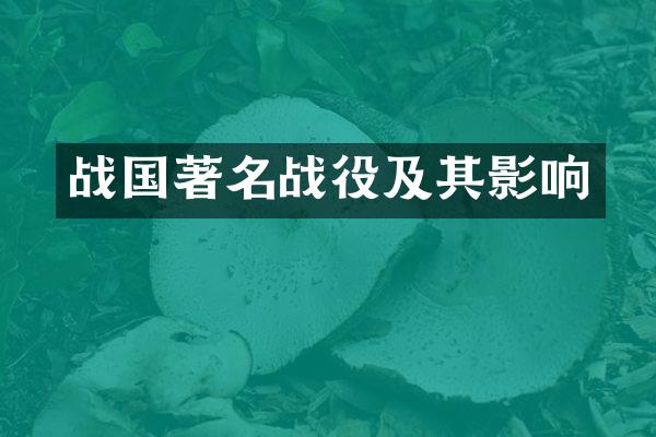 战国著名战役及其影响