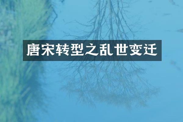 唐宋转型之乱迁