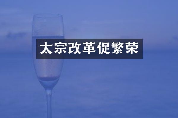 太宗改革促繁荣