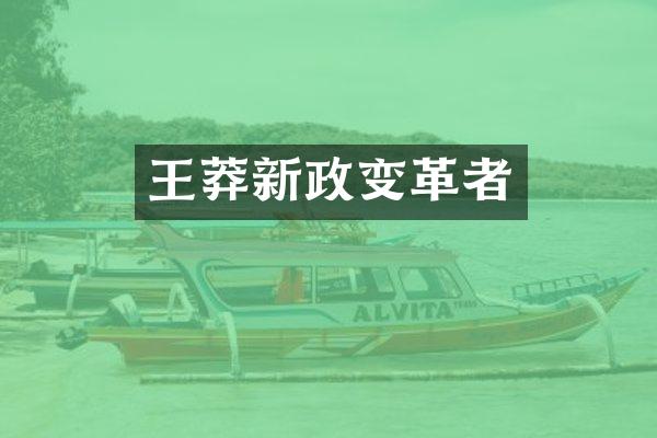 王莽新政变革者