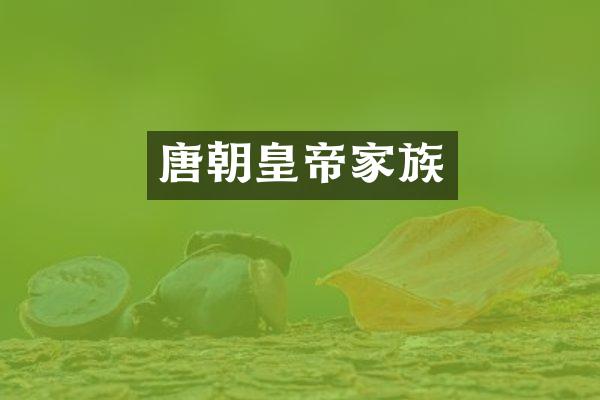 唐朝皇帝家族