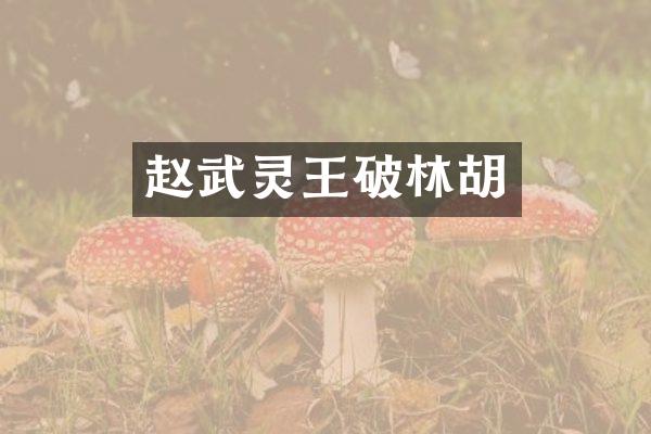 赵武灵王破林胡