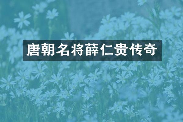 唐朝名将薛仁贵传奇