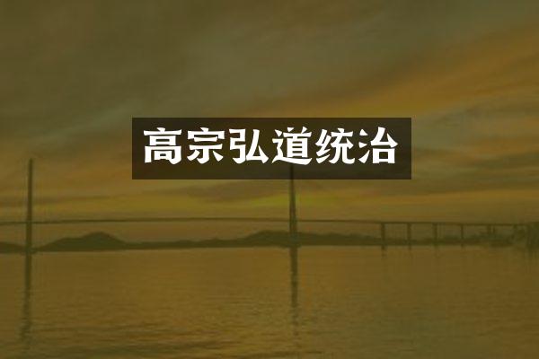 高宗弘道统治