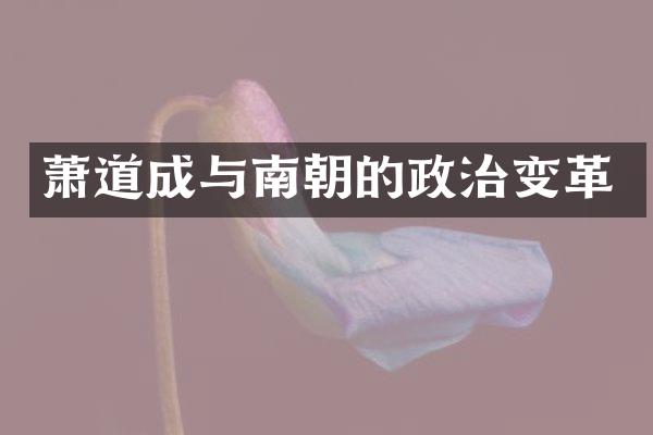 萧道成与南朝的政治变革