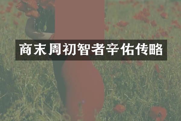 商末周初智者辛佑传略