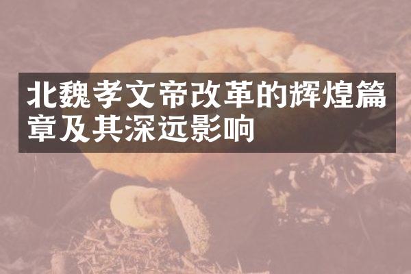 北魏孝文帝改革的辉煌篇章及其深远影响