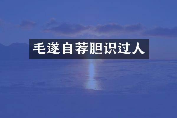 毛遂自荐胆识过人