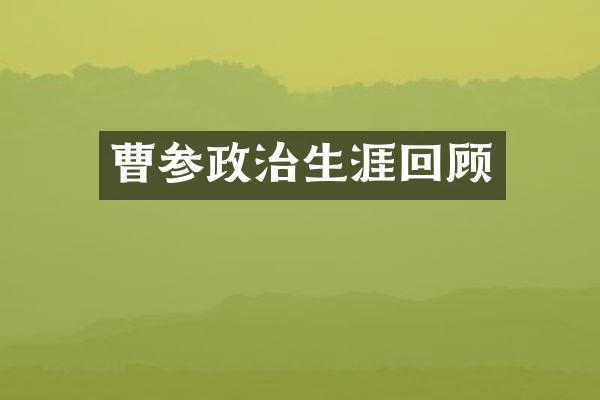 曹参政治生涯回顾