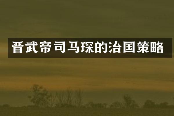 晋武帝司马琛的治国策略