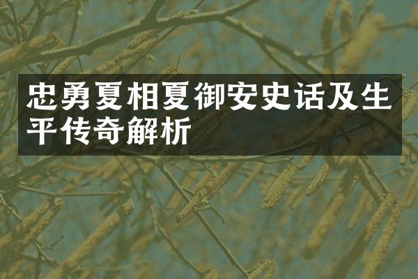 忠勇夏相夏御安史话及生平传奇解析