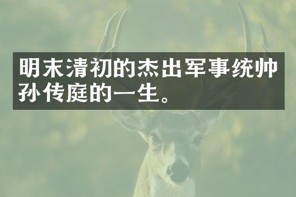 明末清初的杰出军事统帅孙传庭的一生。