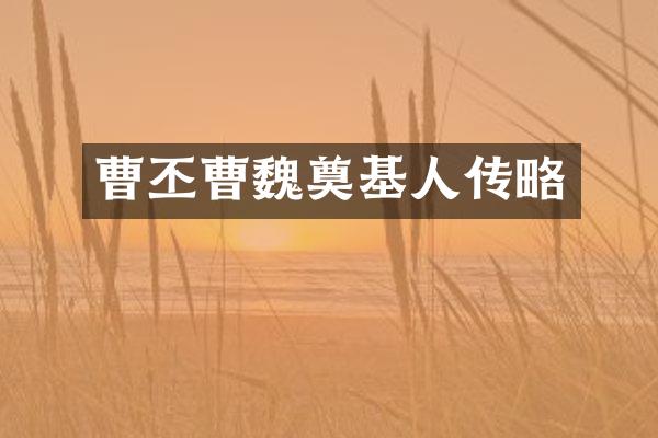 曹丕曹魏奠基人传略