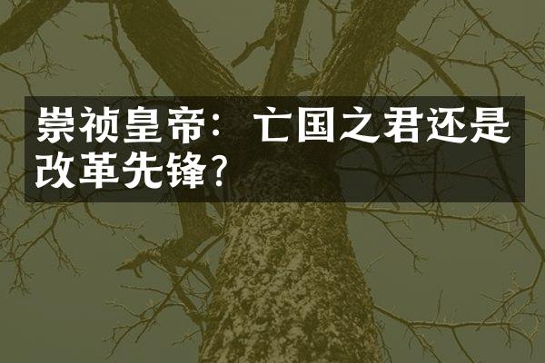 崇祯皇帝：亡国之君还是改革先锋？