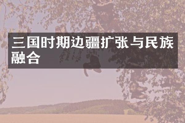 三国时期边疆扩张与民族融合