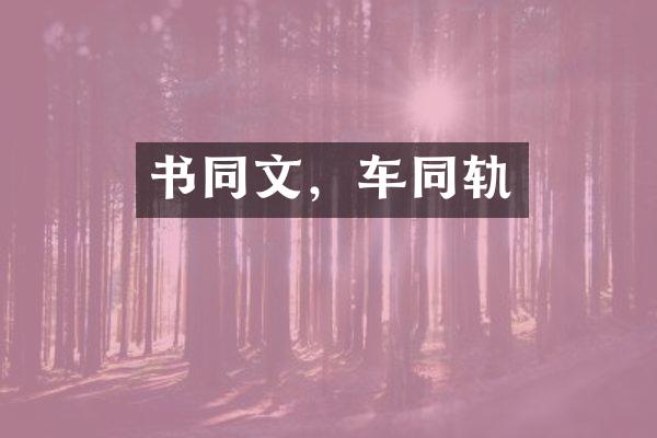 书同文，车同轨