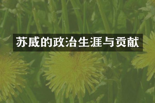 苏威的政治生涯与贡献