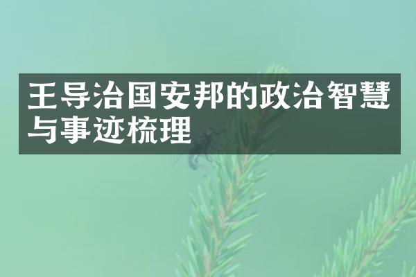 王导治国安邦的政治智慧与事迹梳理