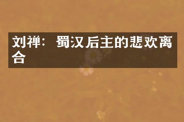 刘禅：蜀汉后主的悲欢离合