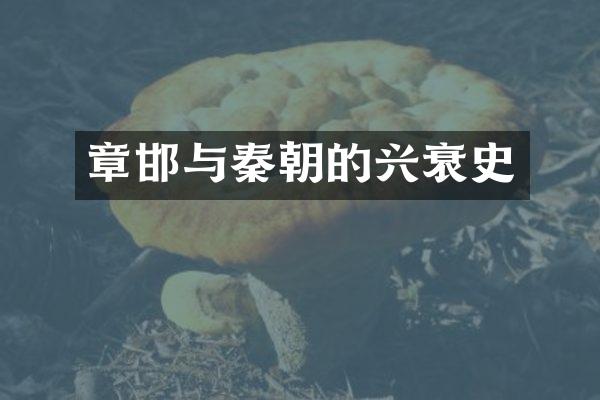 章邯与秦朝的兴衰史