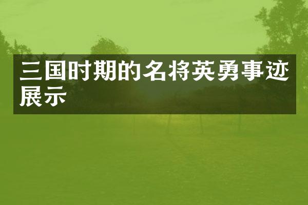三国时期的名将英勇事迹展示