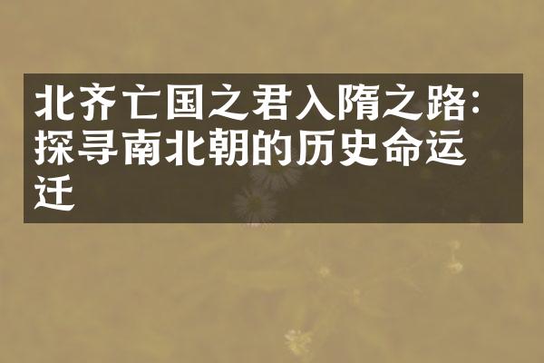 北齐亡国之君入隋之路：探寻南北朝的历史命运变迁