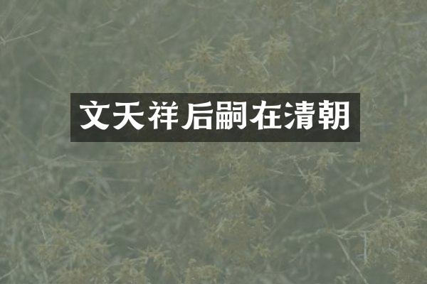 文天祥后嗣在清朝