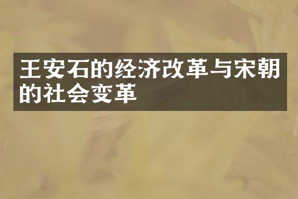 王安石的经济改革与宋朝的社会变革