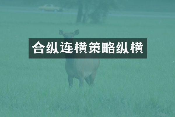 合纵连横策略纵横