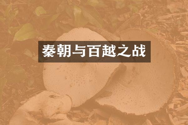 秦朝与百越之战