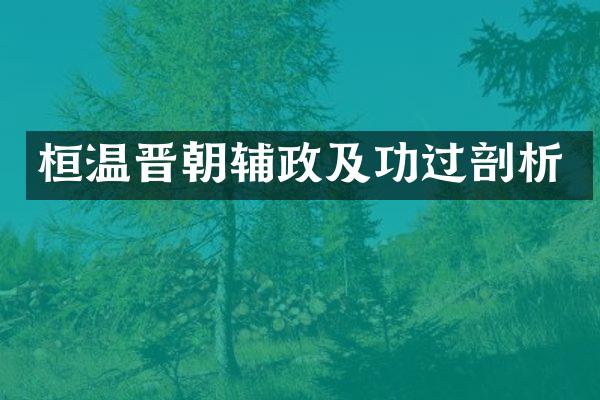 桓温晋朝辅政及功过剖析