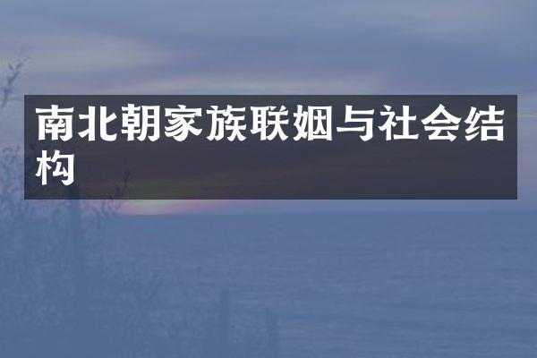 南北朝家族联姻与社会结构