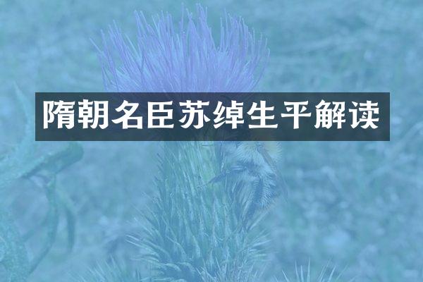 隋朝名臣苏绰生平解读