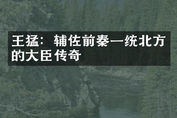 王猛：辅佐前秦一统北方的大臣传奇
