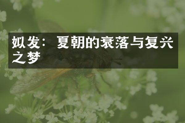 姒发：夏朝的衰落与复兴之梦