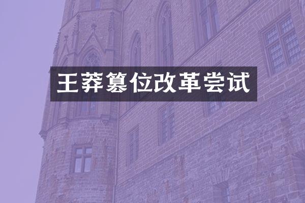 王莽篡位改革尝试