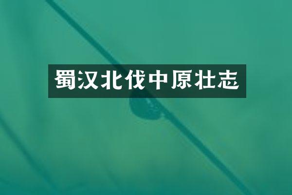 蜀汉北伐中原壮志