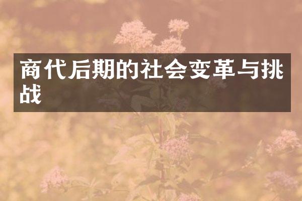 商代后期的社会变革与挑战