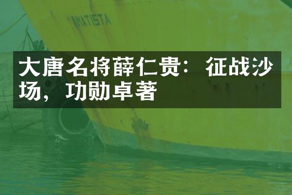 大唐名将薛仁贵：征战沙场，功勋卓著