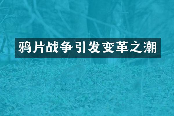 战争引发变革之潮