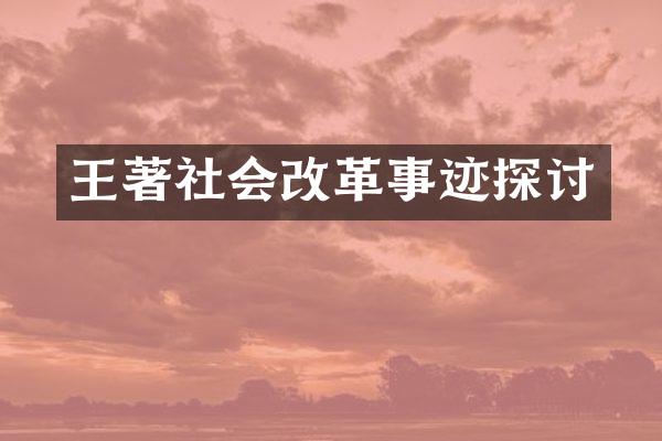 王著社会改革事迹探讨