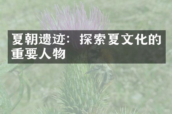 夏朝遗迹：探索夏文化的重要人物