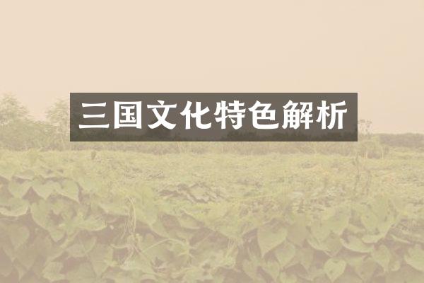 三国文化特色解析