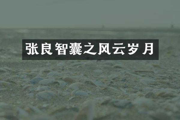 张良智囊之风云岁月