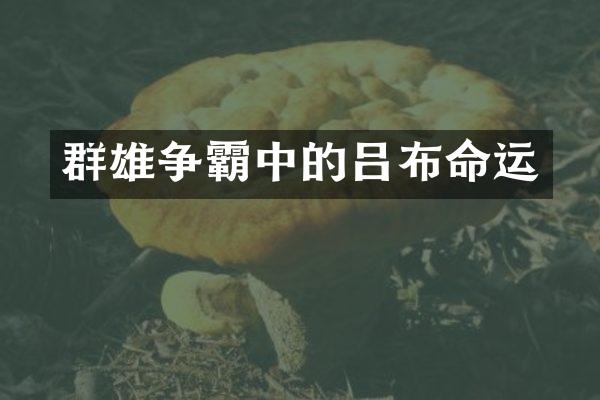 群雄争霸中的吕布命运