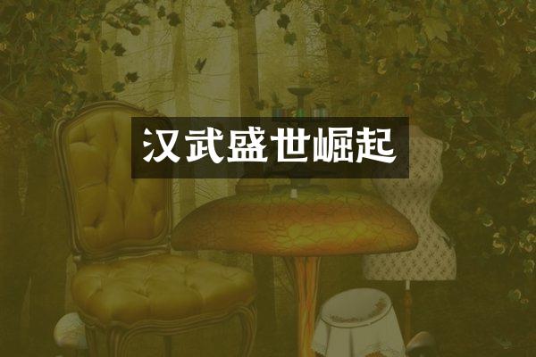 汉武盛世崛起