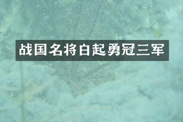 战国名将白起勇冠三军