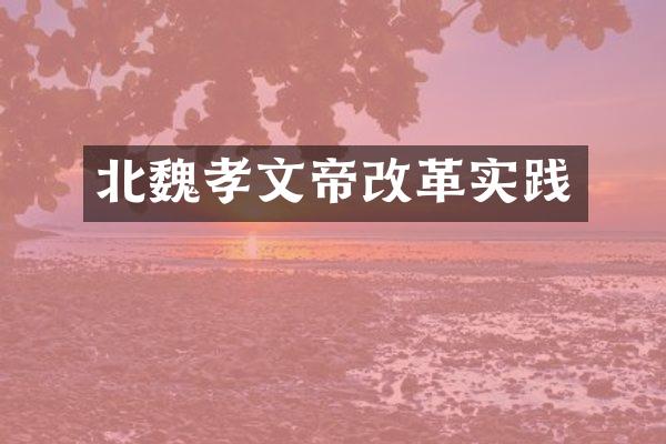 北魏孝文帝改革实践